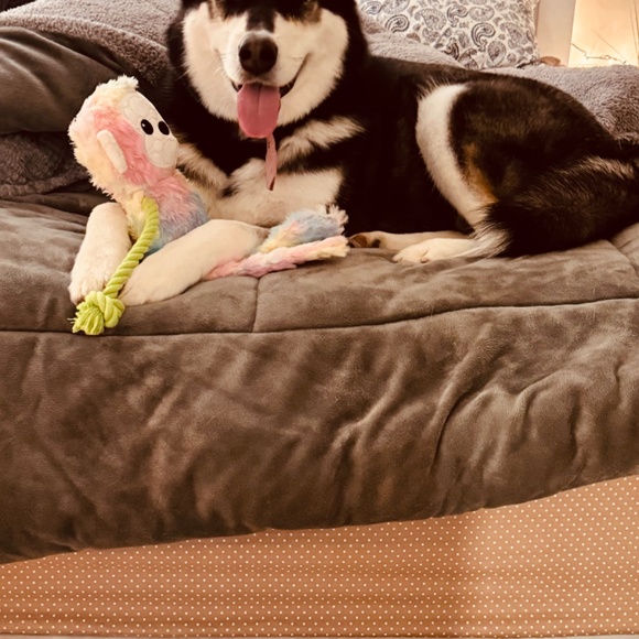 Meet your Posher, Carlene - Picture 6 of 6